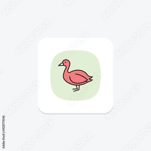 Coot, vector, pixel perfect, illustrator file