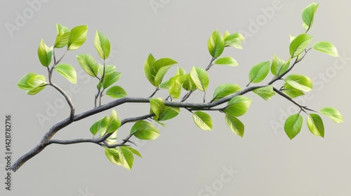 Serene Spring Branch: A Delicate Display of New Life's Emergence