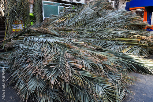 Fényképezés Cut date palm branches piled high on a Jerusalem street ahead of the Jewish festival of Sukkot