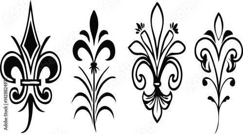 Hand Drawn Floral Graphic Elements in Linear Botanical Style for Organic Cosmetics and Natural Emblems