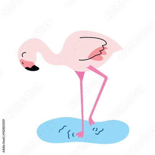 Pink Doflamingo walks on water.