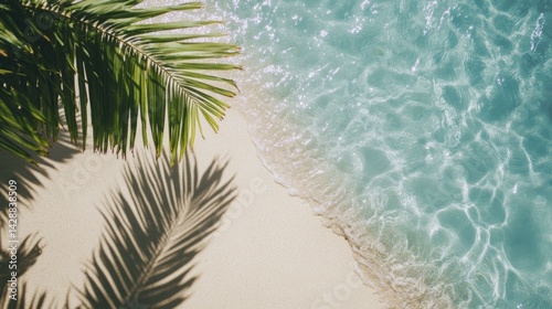 Tropical beach scene with palm frond shadow on sand and clear turquoise water from above
