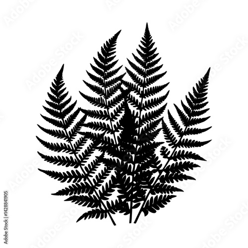 Botanical fern fronds foliage plant vector graphic silhouette