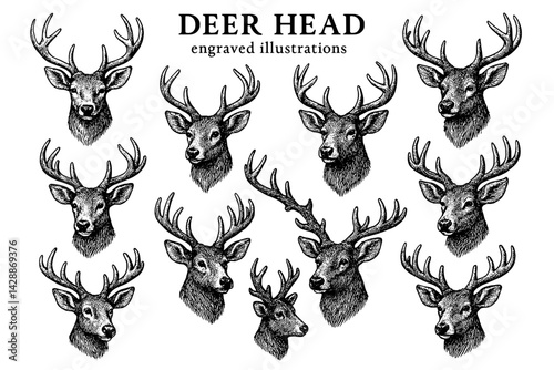 Elegant collection of engraved deer head illustrations showcasing diverse antler styles in a vintage art style