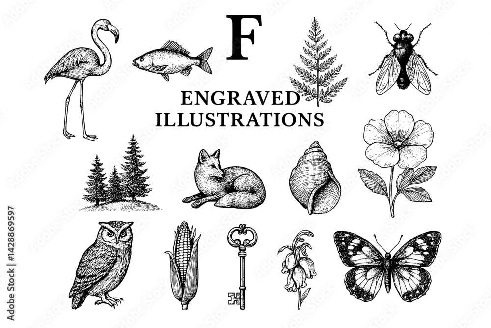 Fototapeta premium Intricate engravings showcasing nature's beauty with diverse flora and fauna in a vintage art style