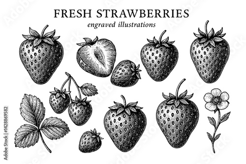 Engraved illustrations of fresh strawberries showcasing their unique shapes and textures among leaves and flowers