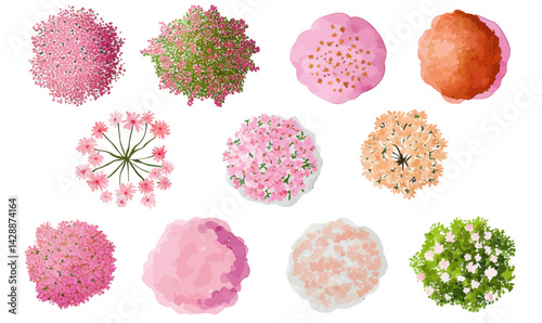 Blooming Tree Top View Vector Watercolor for Landscape Architecture and Garden Design