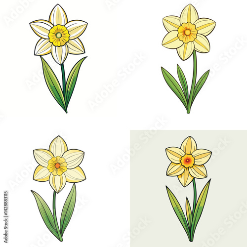 set of yellow daffodils