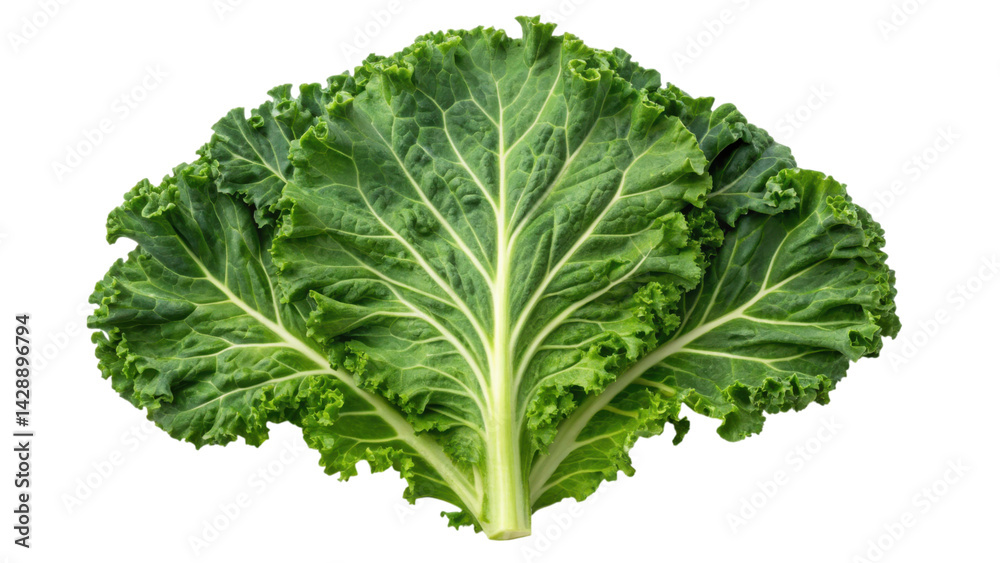 Fresh, vibrant kale leaves with intricate textures and deep green color, showcasing the vegetable's natural beauty and health benefits. Fresh, vibrant kale leaves with intricate textures and deep green color, showcasing the vegetable's natural beauty and health benefits.