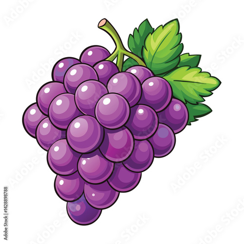 Bunch of purple grapes with leaves