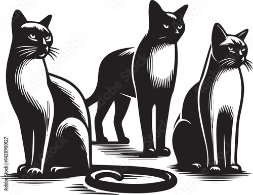 Stylish Black and White Illustration of Ragdoll Cats. A set of four detailed, black and white illustrations of Ragdoll cats.
