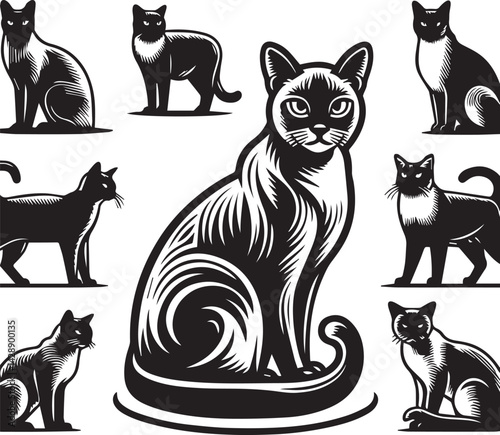 Stylish Black and White Illustration of Ragdoll Cats. A set of four detailed, black and white illustrations of Ragdoll cats.