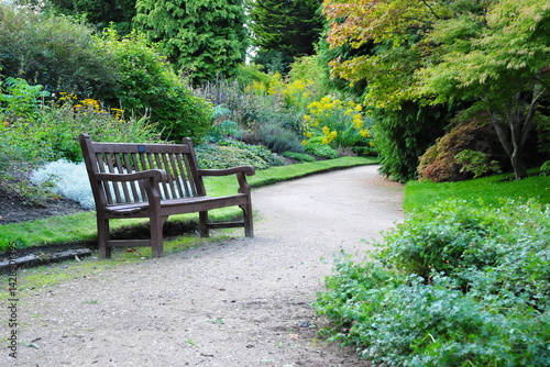 Photography Beautiful English style garden with a pathway, wooden bench, colourful flowers a