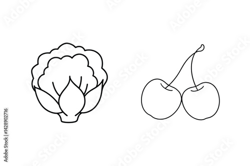 Cauliflower And Cherries Outline Vector Illustration Minimalist Food Drawing Design