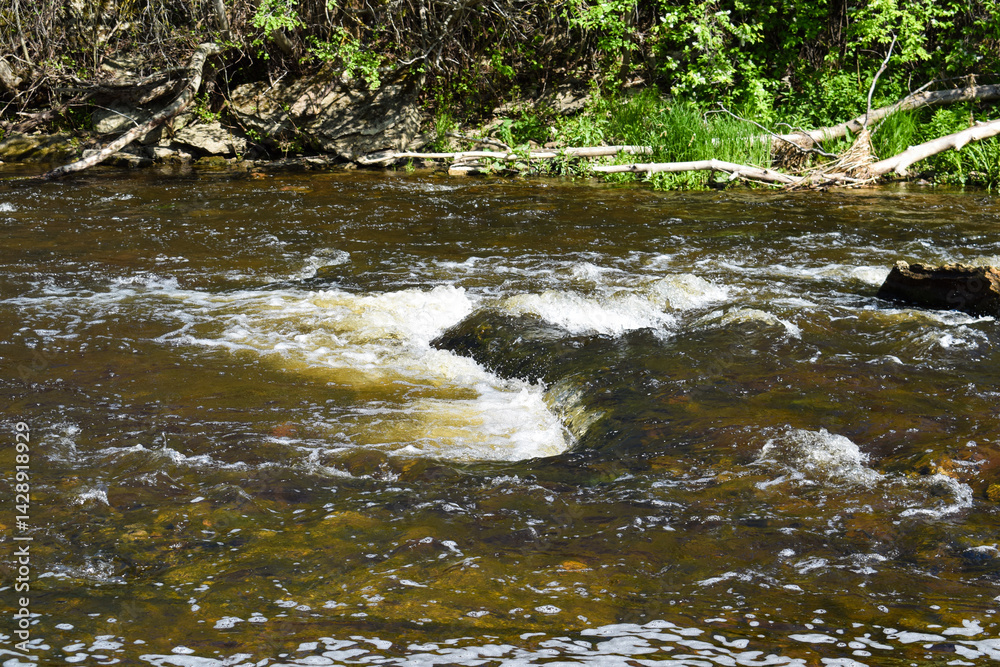 Flowing River with Small Rapids in Estonia Flowing River with Small Rapids in Estonia