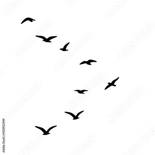 flock of birds illustration