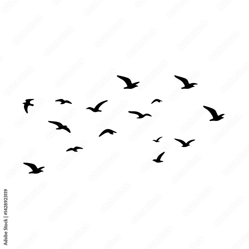 flock of birds illustration