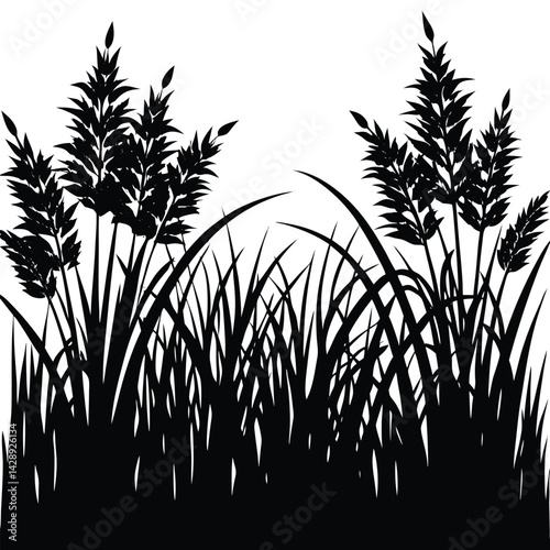 Black silhouette of grasses and reeds in a meadow landscape vector illustration