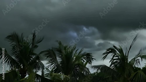 storm clouds over the jungle