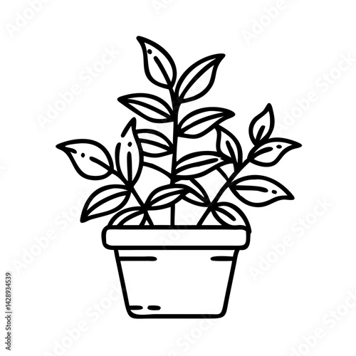 Black Background Image for Digital Art and Design