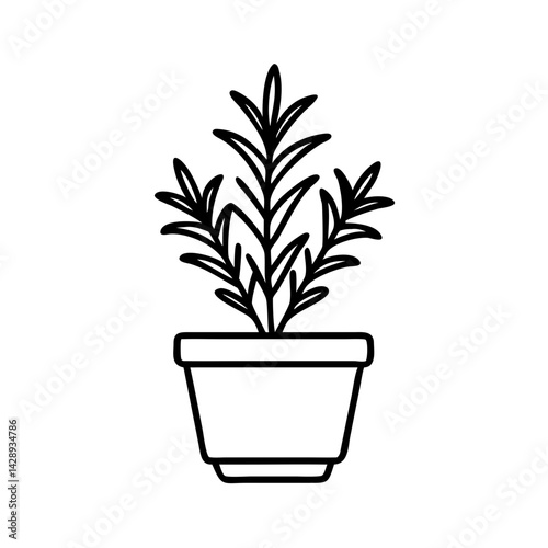 Solid black, dark background, minimalist simplicity