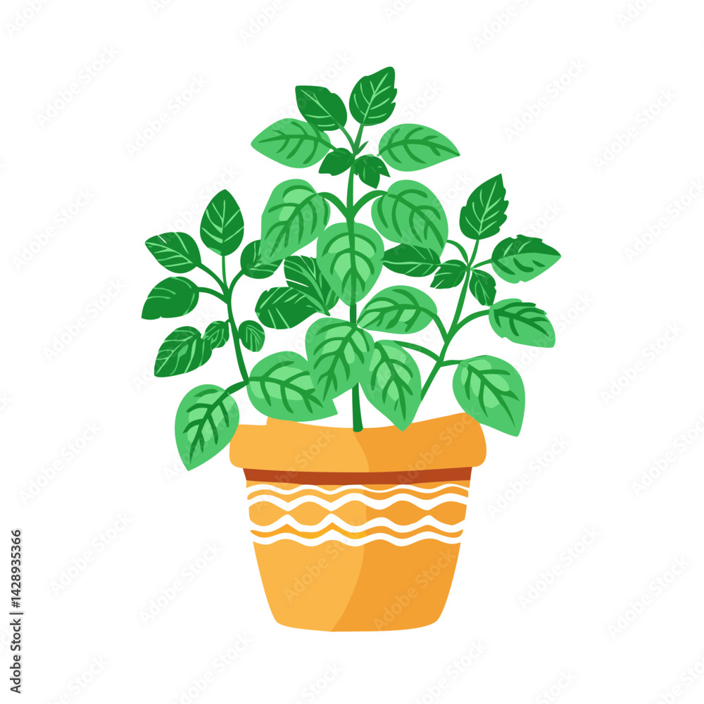Obraz premium Potted Basil Plant Illustration on a Black Background