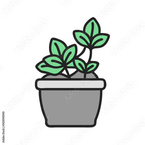 Potted Plant with Green Leaves on Black Background