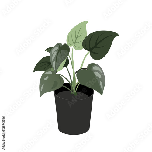 Potted green houseplant on black background illustration
