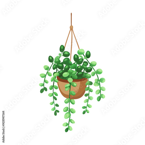 Hanging String of Pearls Plant in Brown Pot