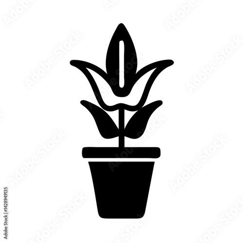 Solid Black Background, Dark Screen Texture and Pattern
