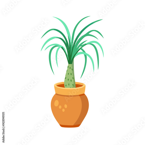 Ponytail Palm in Pot, Indoor Plant Illustration
