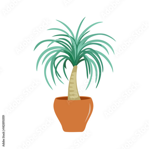 Cartoon Ponytail Palm in Pot on Black Background