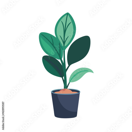 Green leafy plant in a pot on black background