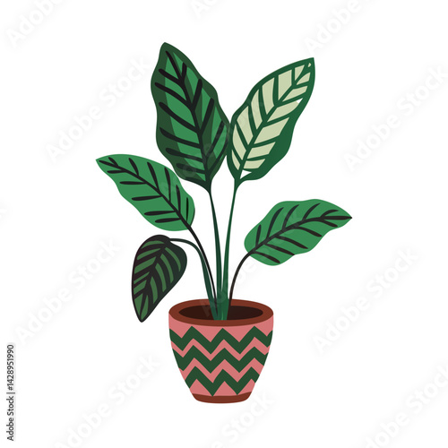 Illustration of a Calathea plant in a patterned pot