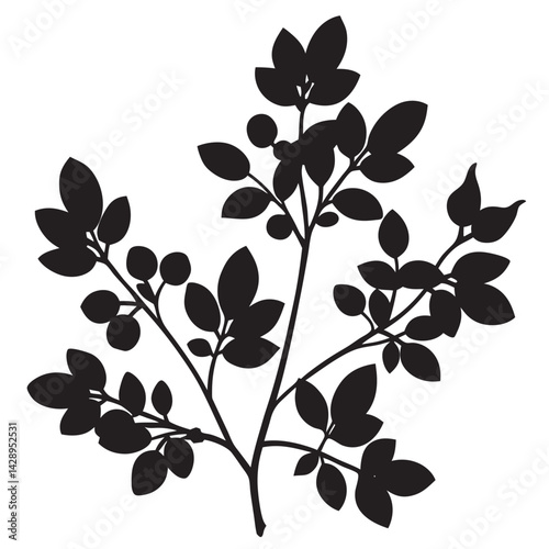 Barberry vector  Silhouette