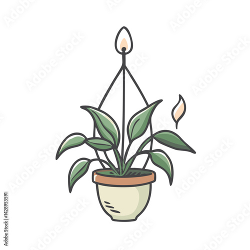 Hanging Potted Peace Lily Plant on Black Background