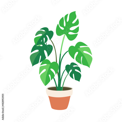 Monstera plant in pot illustration on black background