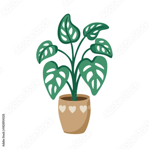 Monstera adansonii illustration, Swiss cheese vine houseplant design