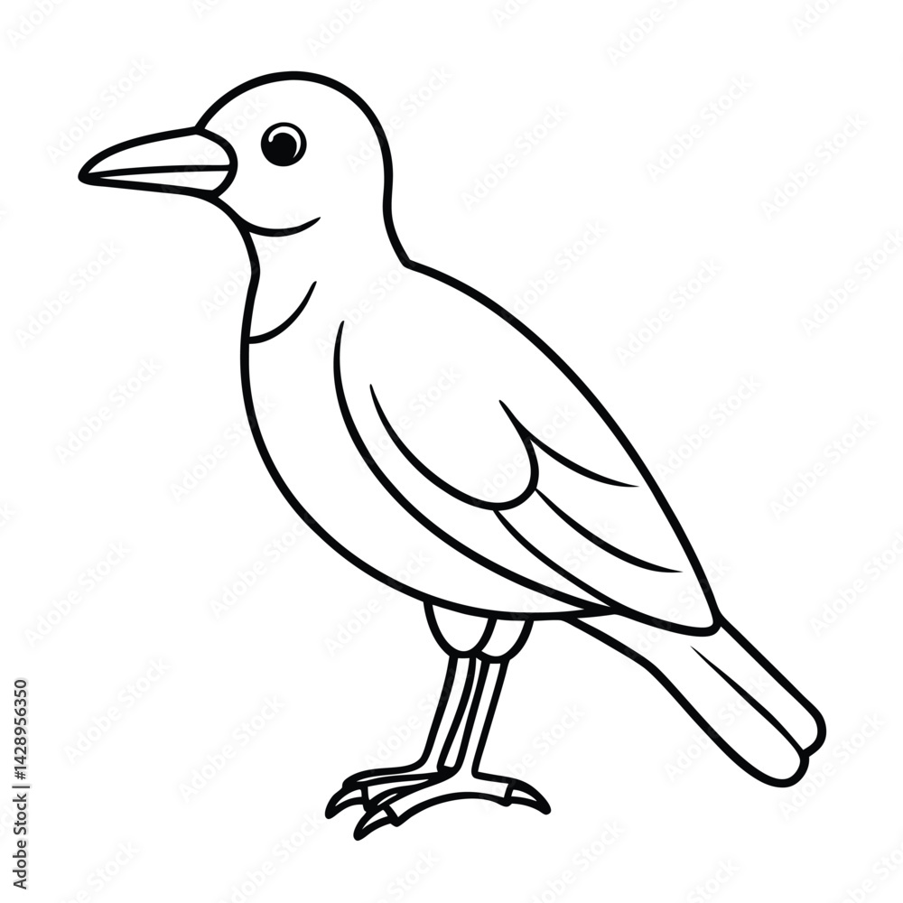 Fototapeta premium Vector illustration of Bird coloring page for kids, bird outline for baby's hand drawing.