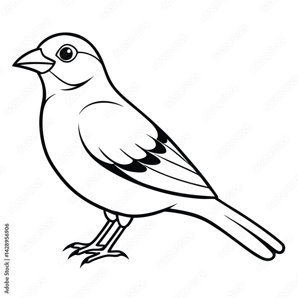 Fototapeta premium Hand drawn bird vector image, Cute Bird illustration for kids.