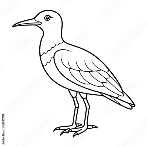 Bird coloring page outline vector Illustration white background