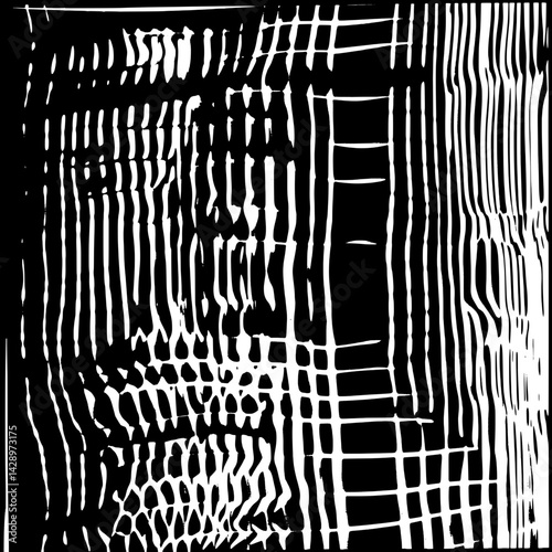 Dynamic black and white patterns create an abstract artwork that plays with light and shadow, highlighting visual texture and forms
