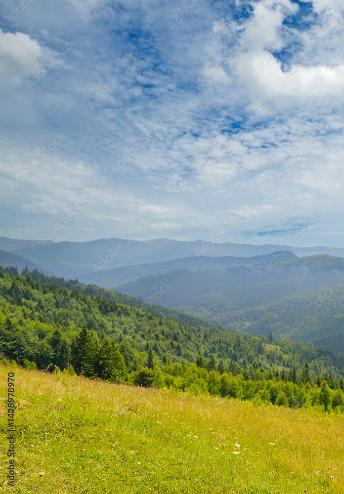 Fototapeta premium Misty Carpathian mountain valley after the rain. Concept - vacation and travel.
