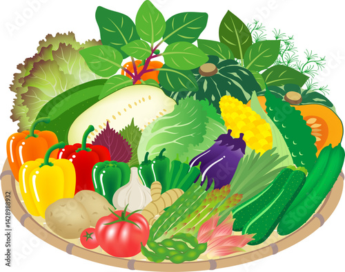 夏野菜