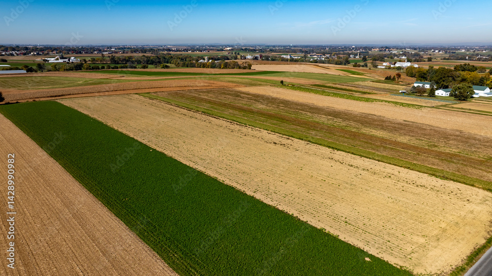 Vast stretches of farmland display a patchwork of vibrant green and golden brown fields. A farmstead is visible in the distance, under a clear blue sky, capturing the tranquility of rural life. Vast stretches of farmland display a patchwork of vibrant green and golden brown fields. A farmstead is visible in the distance, under a clear blue sky, capturing the tranquility of rural life.