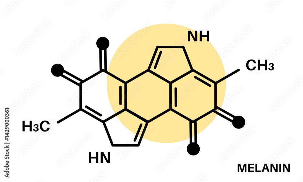 Fototapeta premium Melanin chemical formula