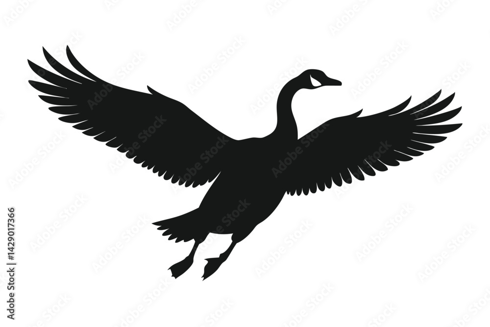Fototapeta premium Silhouette of a Canadian Goose in Flight with Wings Spread Wide