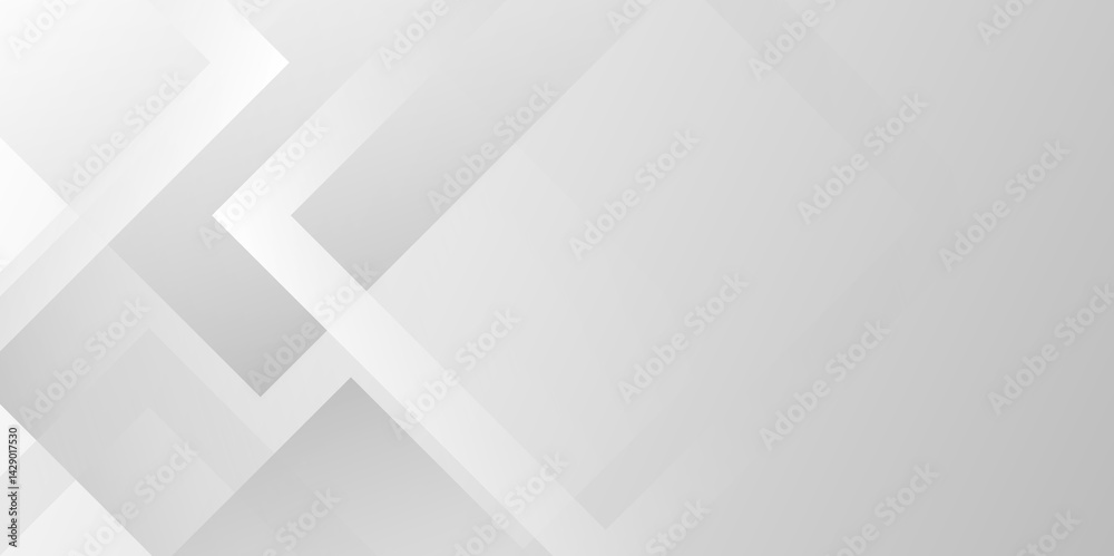 Fototapeta premium Modern white vector abstract graphic design Banner Pattern background web template. White Grey Line Cut Paper Abstract bg .Suit for business, corporate, institution, party, festive, seminar, and talks
