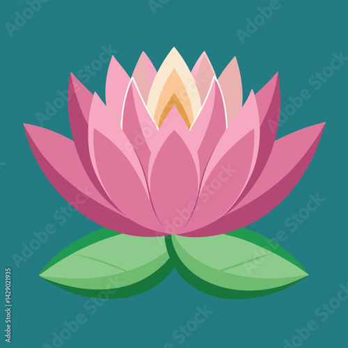 pink water lily