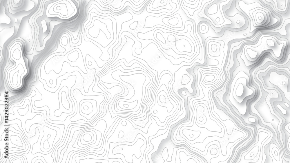 Fototapeta premium Topography white background and black line wireframe isoline location diagram world map texture design .